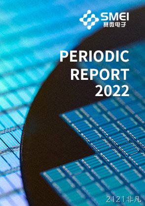 2022年年度报告