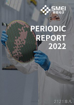 2022年半年度报告