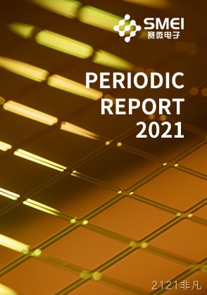 2021年年度报告摘要